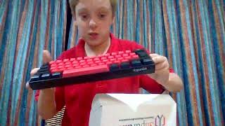 Testing Reviewing Temus Snpurdiri 60 RGB Streamer Gamer Keyboard [upl. by Sulamith]