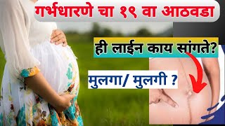 गर्भधारणे चा १९ वा आठवडा19 week of pregnancy  pregnancy week by week [upl. by Jackie945]