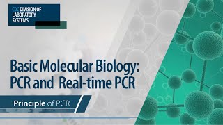 Basic Molecular Biology PCR and RealTime PCR – Principle of PCR [upl. by Laeahcim]