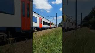 NMBS train horn belgium [upl. by Powe829]