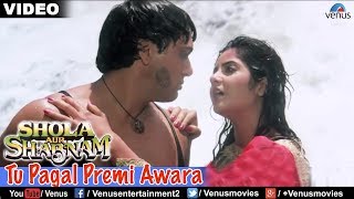 Tu Pagal Premi Awara Full Video Song  Shola Aur Shabnam  Govinda Divya Bharati  Romantic Song [upl. by Slen922]