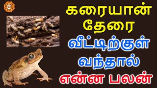 வீட்டிற்குள் தவளை தேரை கரையான் வந்தால் என்ன பலன்  therai thavalai veetukul vanthal enna palan [upl. by Esyli]