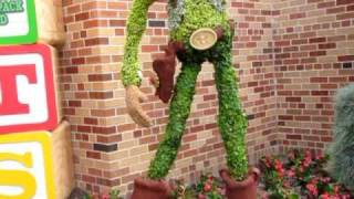 Toy Story 3 Woody Topiary Disneys Hollywood Studios 11310 [upl. by Atteuqram1]