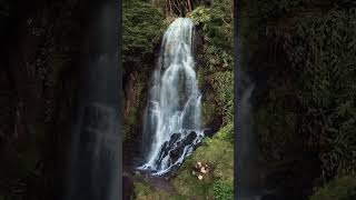 Azores Waterfall Ribiera dos Caldeiroes [upl. by Alleynad645]