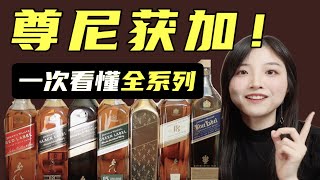 黑方红方威士忌？一次性看懂尊尼获加全系列！ [upl. by Aisetra]