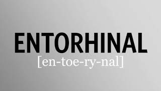 How to pronounce entorhinal [upl. by Ajup]