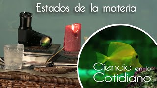 Estados de la Materia  Ciencia en lo Cotidiano T1 [upl. by Thornie]