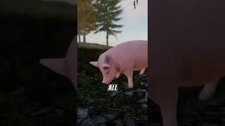 Wait for it… gaming funny pig [upl. by Lewap]