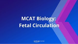 MCAT Biology Fetal Circulation [upl. by Anire]