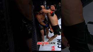 Muay Thai elbow blow 🥊 muaythai mma punch [upl. by Zielsdorf]