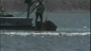 Speedboat Crashes During Race [upl. by Dean605]