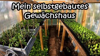 Mein selbstgebautes Gewächshaus [upl. by Euqinay569]