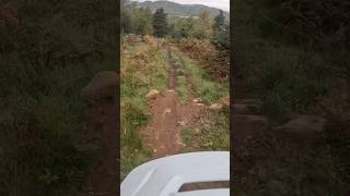 Pink Floyd  Dunkeld goingdownhill mtb mtblife gopro downhill mountainbike [upl. by Ashlee]