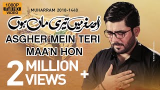 Nohay 2018  Asghar ع Main Teri Maa Hun  Mir Hasan Mir Noha 2018  Babul Hawaij  Nohay 2019 [upl. by Jemmie549]