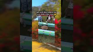 😁এটা থেকে কি বুঝলেন সবাই shortfeed shorts remix song music hindisong bollywood motivation [upl. by Oberg]