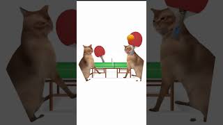 Cat memes 😺 the fastest pingpong game cat catmemes catperson memes raxdflipnote catlover [upl. by Luing]