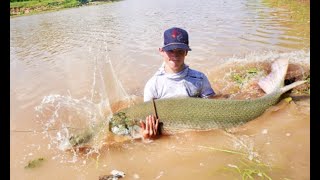 this big river held a MONSTER FISH  fishing with huge baits [upl. by Afrikah]