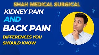 Understanding Kidney Pain vs Back Pain Causes Symptoms and Treatment [upl. by Annaillil891]