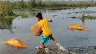 Kulsum Fishing Vlog is Fish Catching live [upl. by Zetana779]