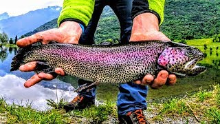 La Splendida Trota Leopardata del Lago Mure  Pesca alla Trota in Lago [upl. by Lidda]