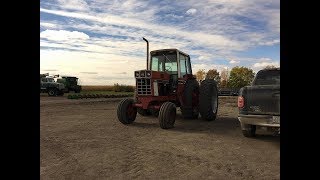 walk around amp drive of the international harvester 1586 [upl. by Carrillo]