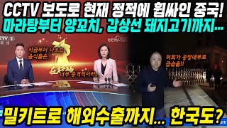 중국반응│중국 CCTV까지 보도하고 나선 중국의 심각한 위생수준│폭로와 뉴스보도로 충격에 휩싸인 중국 전역│해외수출까지하는 마라탕 양꼬치 갑상선 돼지고기 밀키트 까지│중국어로路 [upl. by Thay69]