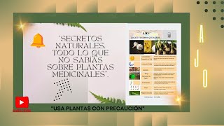 quotLas Asombrosas Propiedades del Ajo ¡Descubre sus Beneficios para tu Salud 🌱🧄quot [upl. by Dinesh]