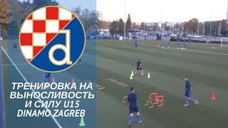 Тренировка на выносливость и силу Dinamo Zagreb U15 [upl. by Ai]