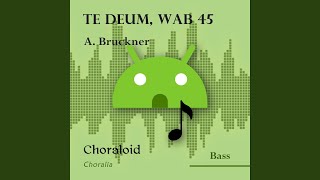 Te Deum WAB 45 Salvum fac populum tuum bass II Voice with metronome [upl. by Rhoda]