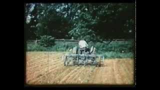 The Massey Ferguson Archive Series  Volume 3 the TE20 Takes On The World Trailer for DVD [upl. by Chon668]