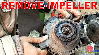 Domestic Water Pump Repair Remove Impeller and Replace Impeller in Hindi [upl. by Nets]