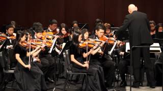 Drifen Atwell  Troy Freshman Orchestra MSBOA District Festival 3152014 [upl. by Deborath276]