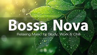 Chill Bossa Nova Music for Relaxation amp Focus  Best Smooth Bossa Nova Playlist 13 [upl. by Aerdnaed795]