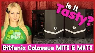 Bitfenix Colossus MiniITX amp MicroATX Case Reviews [upl. by Erida]