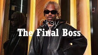 Ckay  The Final Boss Lyrics visualizer [upl. by Ahsilak]