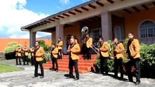 BANDA FLOR DE CHIRIMOYO  quotREPROCHES AL VIENTOquot Video Official [upl. by Geminius]