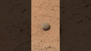 Som ET  58  Mars  Curiosity Sol 4158  Video 1 [upl. by Muscolo955]