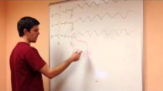 Biodiesel transesterification [upl. by Zachery]