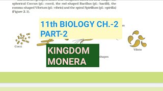 Class 11 BiologyCh2 Part2Kingdom MoneraStudy with Farru [upl. by Sirkin]