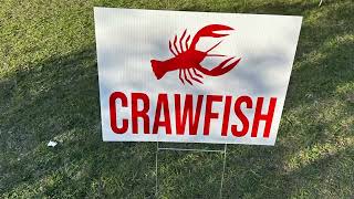 Downtown Lake Charles Crawfish Festival 2023 [upl. by Bronwen]