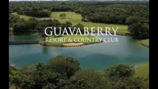 Guavaberry Golf ResortJuan Dolio Dominican Republic Part 1  Buy The Damn Table [upl. by Nima]