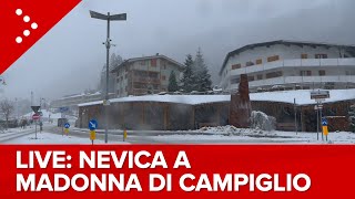 LIVE Nevicata in corso a Madonna di Campiglio diretta video [upl. by Hait184]