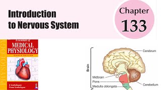 Introduction to Nervous System  Neurophysiology  MBBS 1st year sembulingam physiology [upl. by Bear]