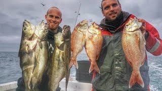 chasse sous marine et pêche du pagre et lieu en bretagne La colo du Relais [upl. by Adnyleb]