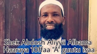 Shek Abdosh Aliyyii Albama Haaraya 10ffaa quotAquot guutu isaa [upl. by Yahs202]