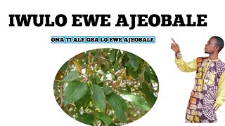 IWULO EWE AJEOBALE Dromoodoagbatv [upl. by Ahsikcin]