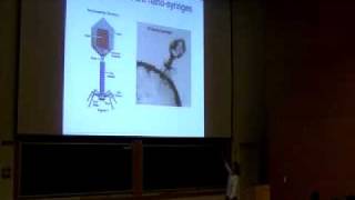 Nanomachines How Viruses Work and How We Can Stop Them [upl. by Nadroj]