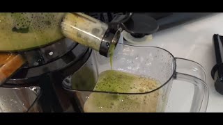 Aeitto Slow Masticating Juicer Machine Review amp How To Use [upl. by Atinat]