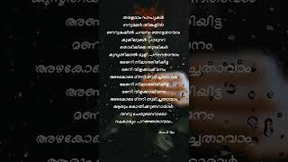 Pinneyum Pinenyum lyrics kjyesudas gireeshputhencherysongs vidyasagar [upl. by Ferri]