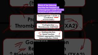 Describe the functions of cyclooxygenase1 COX1 in the formation of prostaglandins [upl. by Akiam]